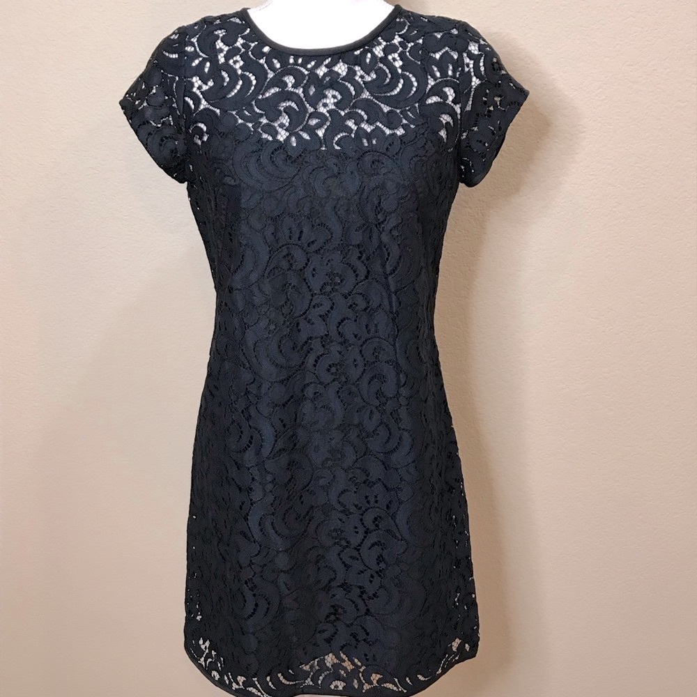 Loft Black and Navy Lace Shift Dress